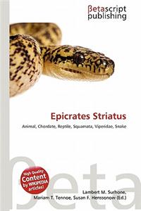 Epicrates Striatus