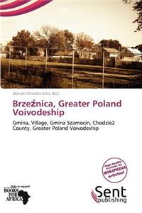 Brze Nica, Greater Poland Voivodeship
