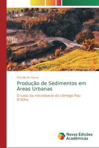 Produção de Sedimentos em Áreas Urbanas