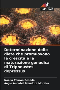 Determinazione delle diete che promuovono la crescita e la maturazione gonadica di Tripneustes depressus