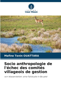 Socio anthropologie de l'échec des comités villageois de gestion