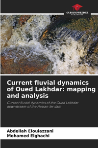 Current fluvial dynamics of Oued Lakhdar