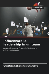 Influenzare la leadership in un team