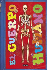 El cuerpo humano