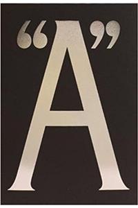 Shannon Ebner - A Public Character