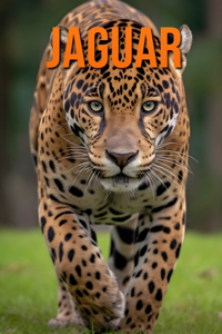 Jaguar: Datos e imágenes divertidas y fascinantes sobre los Jaguar