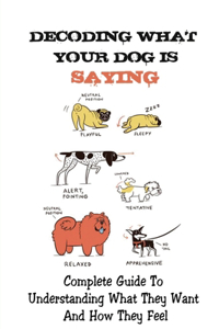 Decoding What Your Dog Is Saying