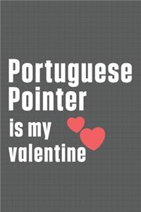 Portuguese Pointer is my valentine