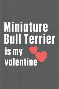 Miniature Bull Terrier is my valentine