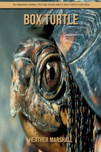 Box Turtle
