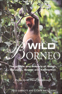 Wild Borneo