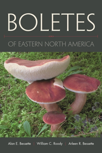 Boletes of Eastern North America