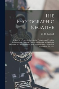 Photographic Negative