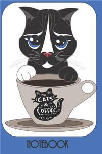 Cat & Coffee