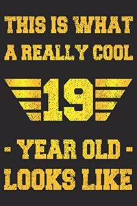 A Really Cool 19 Year Old