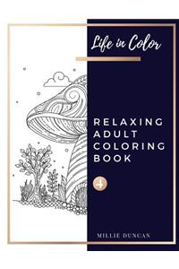 RELAXING ADULT COLORING BOOK (Book 4)