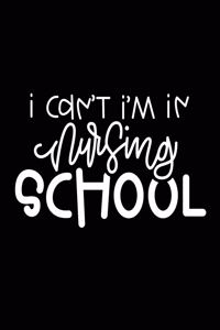 I Can't I'm In Nursing School
