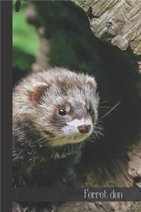 ferret den