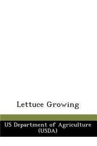 Lettuce Growing