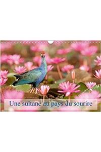 Une Sultane Au Pays Du Sourire 2018