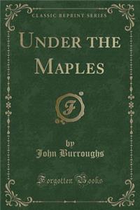Under the Maples (Classic Reprint)