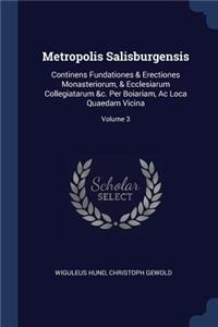 Metropolis Salisburgensis