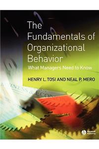 Fundamentals of Organizational Behavior