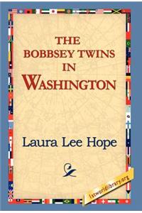 Bobbsey Twins in Washington