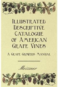 Illustrated Descriptive Catalogue Of American Grape Vines - A Grape Growers Manual