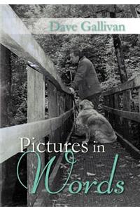 Pictures in Words