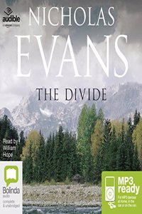 The Divide