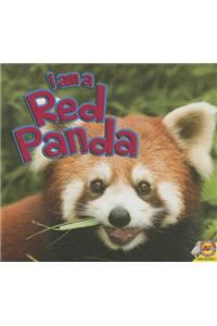 I Am a Red Panda