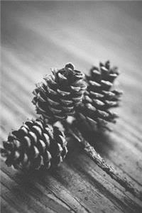 A Pinecone Journal