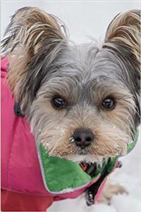 Totally Adorable Little Yorkshire Terrier Yorkie Puppy Dog in Pink Pet Journal