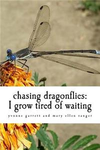 chasing dragonflies