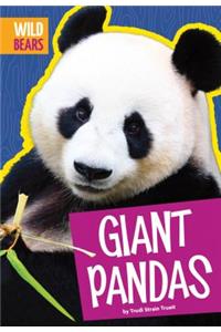 Giant Pandas