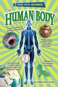 Human Body