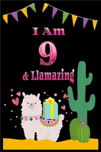 I am 9 & llamazing