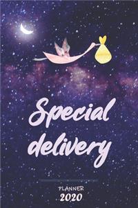 Special Delivery ǀ Weekly Planner Organizer Diary Agenda