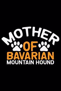 Mother Of Bavarian Mountain Hound