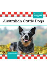 Australian Cattle Dogs