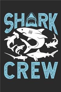 Shark Crew