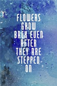 Flowers Grow Back Even After They Are Stepped On