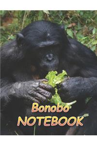 Bonobo NOTEBOOK