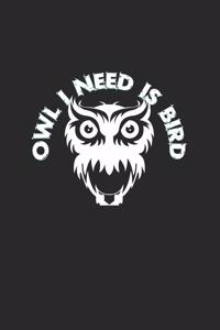 Owl I need is bird