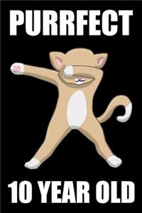 Purrfect 10 Year Old Dabbing Cat