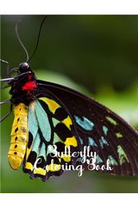 Butterfly Coloring Book