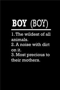 Boy definition