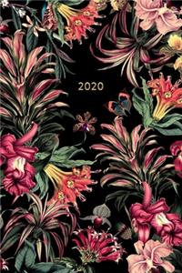 2020