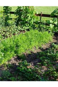 Vegie Garden Notebook Large Size 8.5 x 11 Ruled 150 Pages Softcover